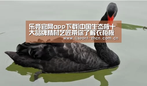 乐竞官网app下载|中国生态板十大品牌精材艺匠带你了解衣柜板材封边的重要性(图1) 乐竞体育赛事分析