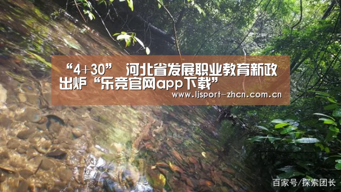 “4+30” 河北省发展职业教育新政出炉“乐竞官网app下载”(图2) 乐竞官网app下载